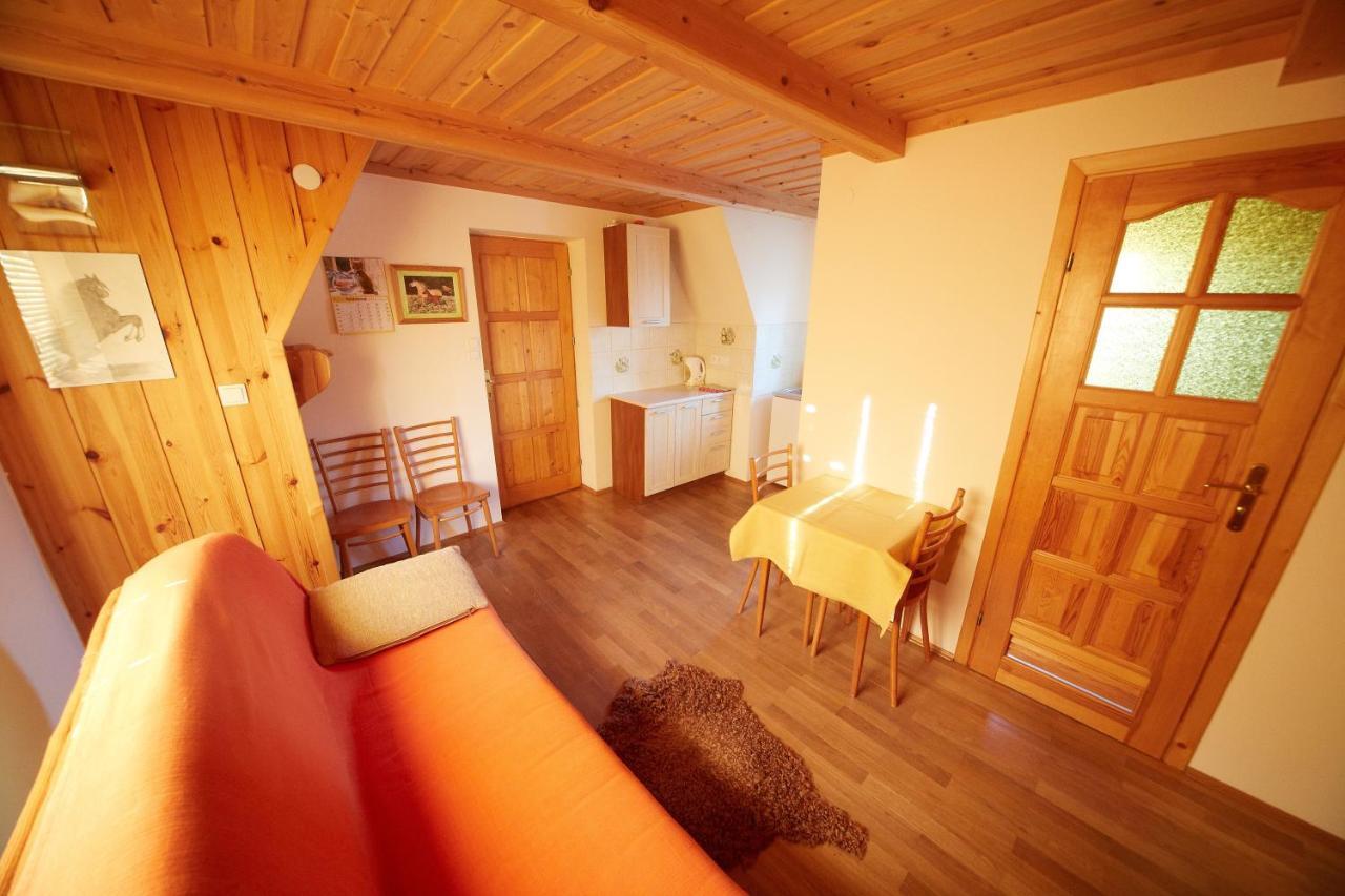 Siklawa Apartment Zakopane Room photo